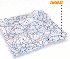 3d view of Sacalis