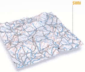 3d view of Suní