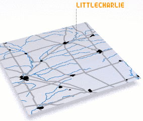 3d view of Little Charlie