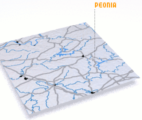 3d view of Peonia