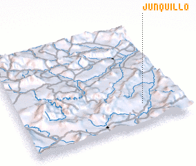 3d view of Junquillo