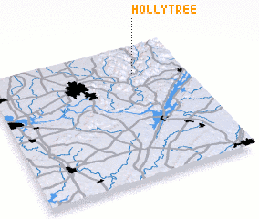 3d view of Hollytree