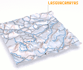 3d view of Las Guacamayas