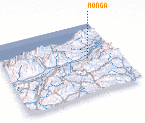 3d view of Monga