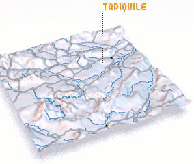 3d view of Tapiquile