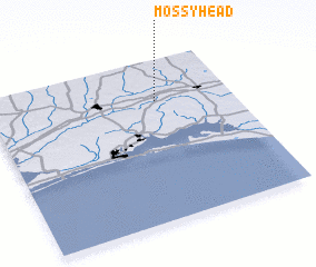 3d view of Mossy Head