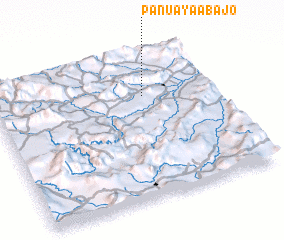 3d view of Panuaya Abajo