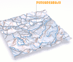 3d view of Punuare Abajo