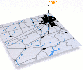 3d view of Cope