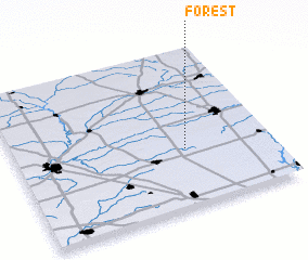 3d view of Forest