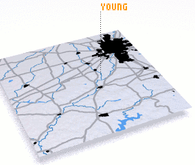 3d view of Young