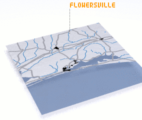 3d view of Flowersville