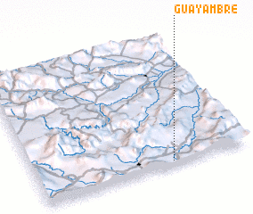 3d view of Guayambre