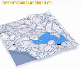 3d view of Desmotadora Las Brasiles