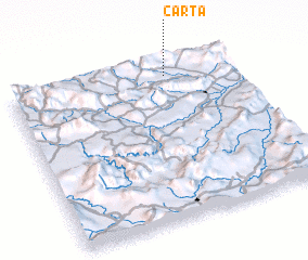 3d view of Carta