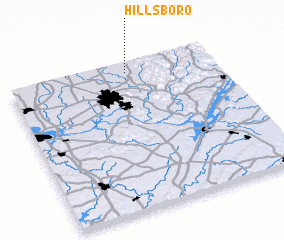 3d view of Hillsboro