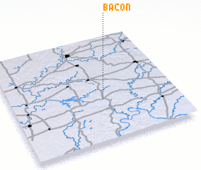 3d view of Bacon