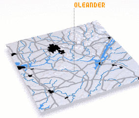 3d view of Oleander