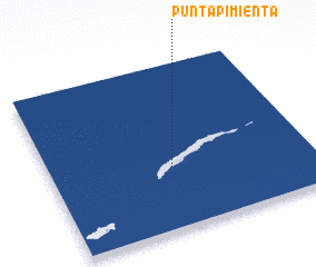 3d view of Punta Pimienta