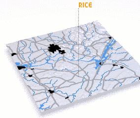 3d view of Rice