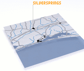 3d view of Silver Springs