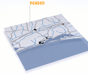 3d view of Peaden