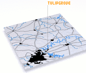 3d view of Tulip Grove