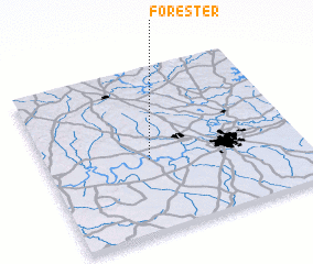 3d view of Forester