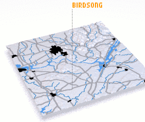 3d view of Birdsong