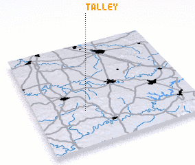 3d view of Talley