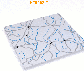 3d view of McKenzie