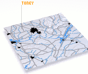 3d view of Toney