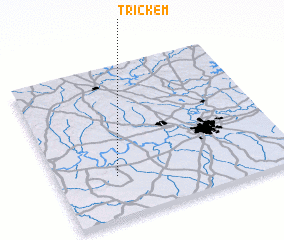 3d view of Trickem