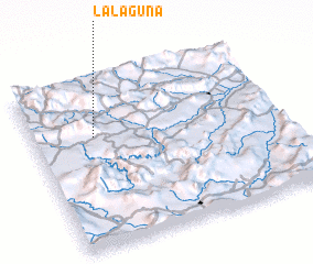 3d view of La Laguna