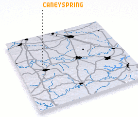 3d view of Caney Spring