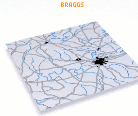 3d view of Braggs