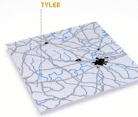 3d view of Tyler