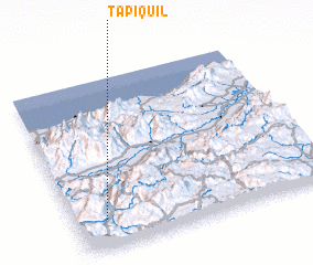 3d view of Tapiquil