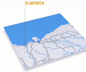 3d view of Slapneck