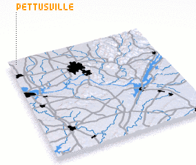 3d view of Pettusville