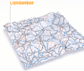 3d view of Liquidámbar