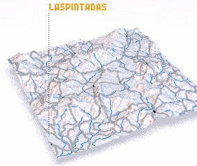 3d view of Las Pintadas