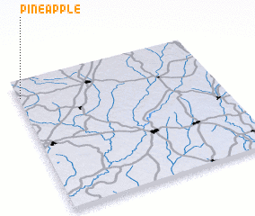 3d view of Pine Apple