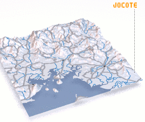 3d view of Jocote