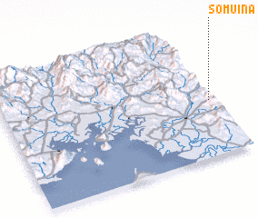 3d view of Somuina