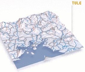 3d view of Tule