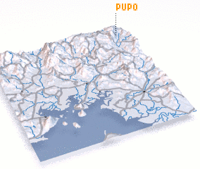 3d view of Pupo