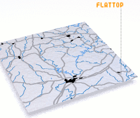 3d view of Flat Top