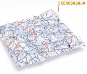 3d view of Cedros Abajo