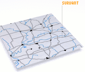 3d view of Survant